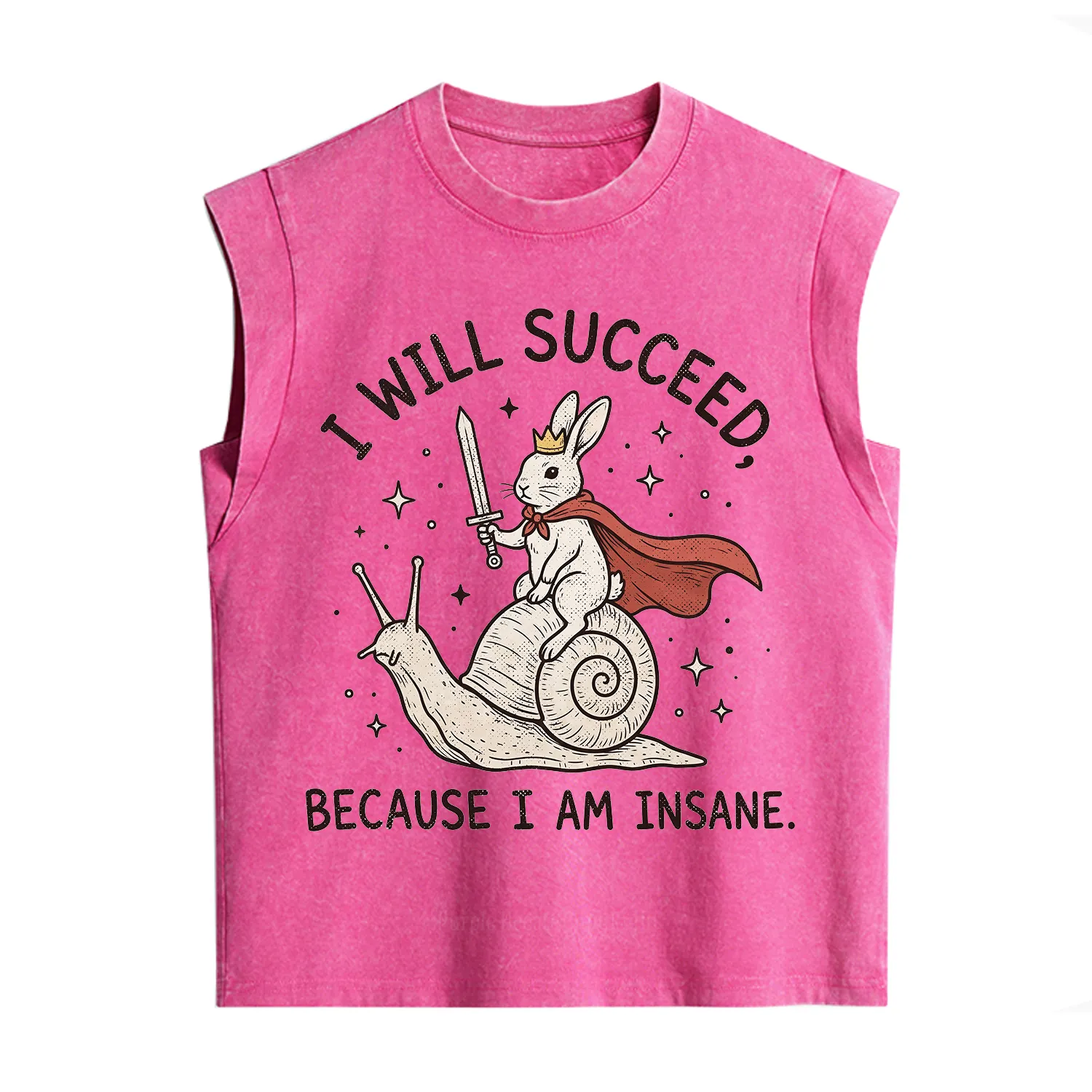 Purplehecate I Will Succeed Because I Am Insane Vintage Washed Tank