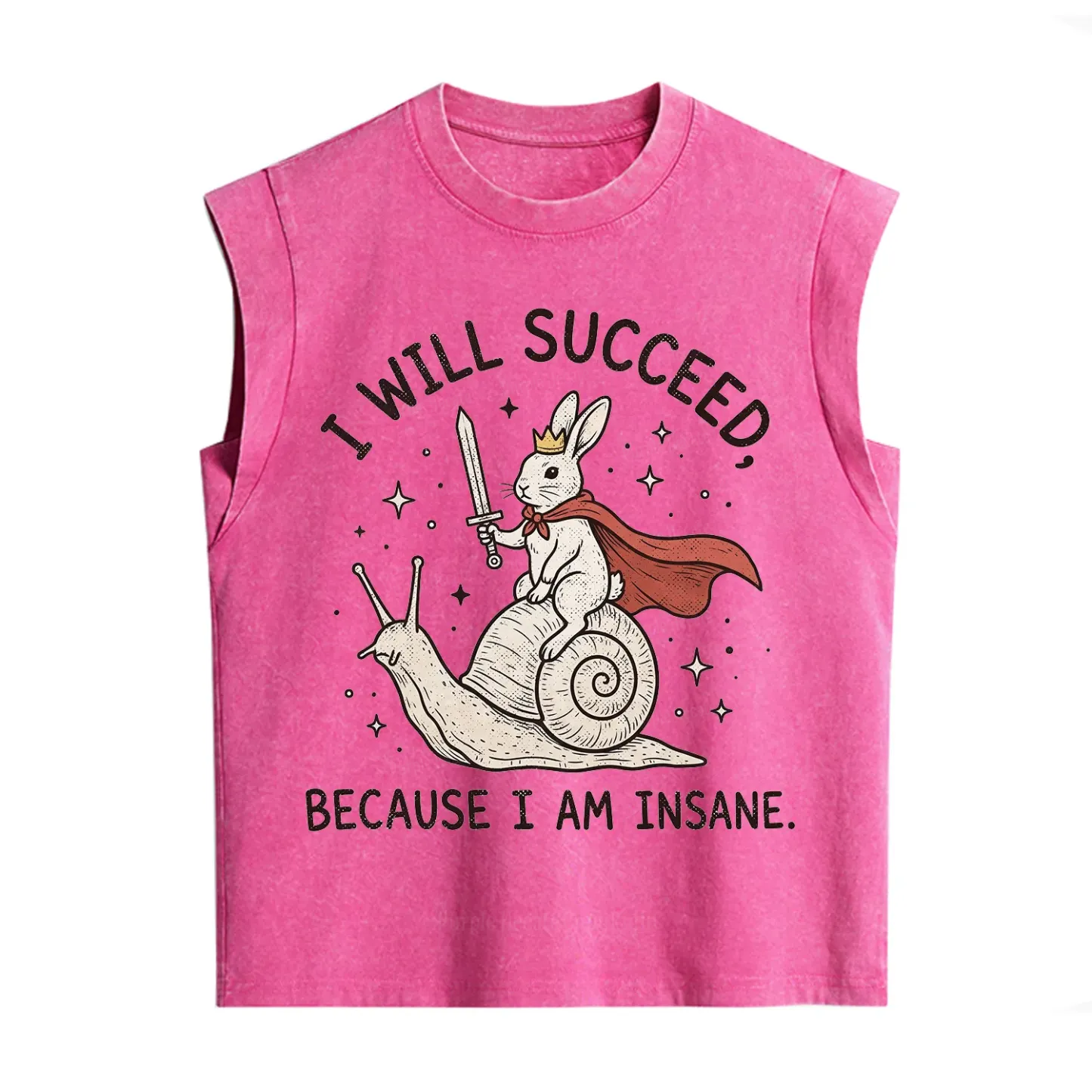 Purplehecate I Will Succeed Because I Am Insane Vintage Washed Tank