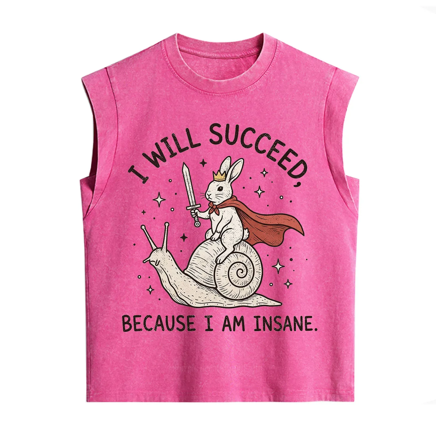 Purplehecate I Will Succeed Because I Am Insane Vintage Washed Tank