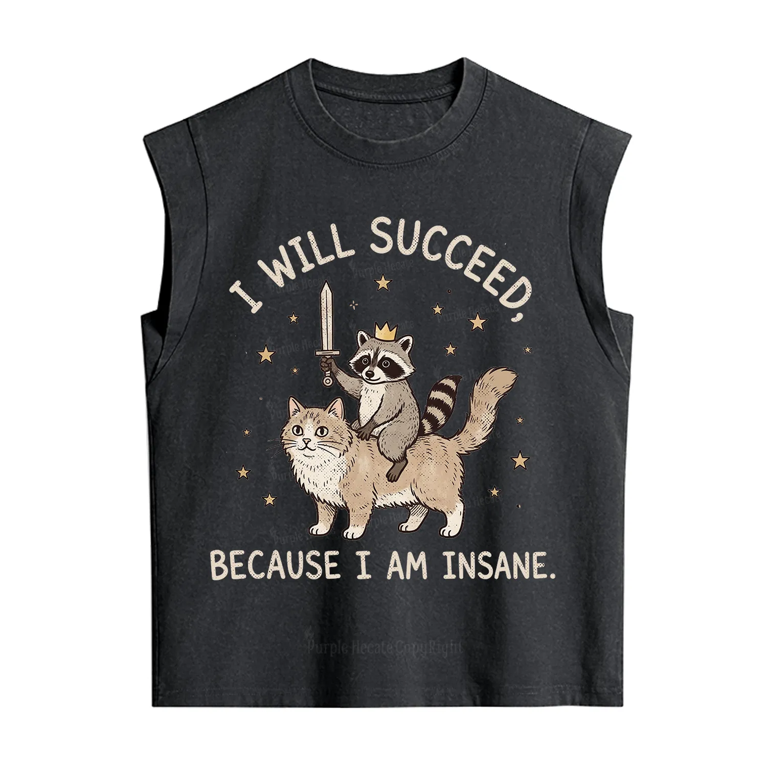 Purplehecate I Will Succeed Because I Am Insane Funny Raccoon Vintage Washed Tank