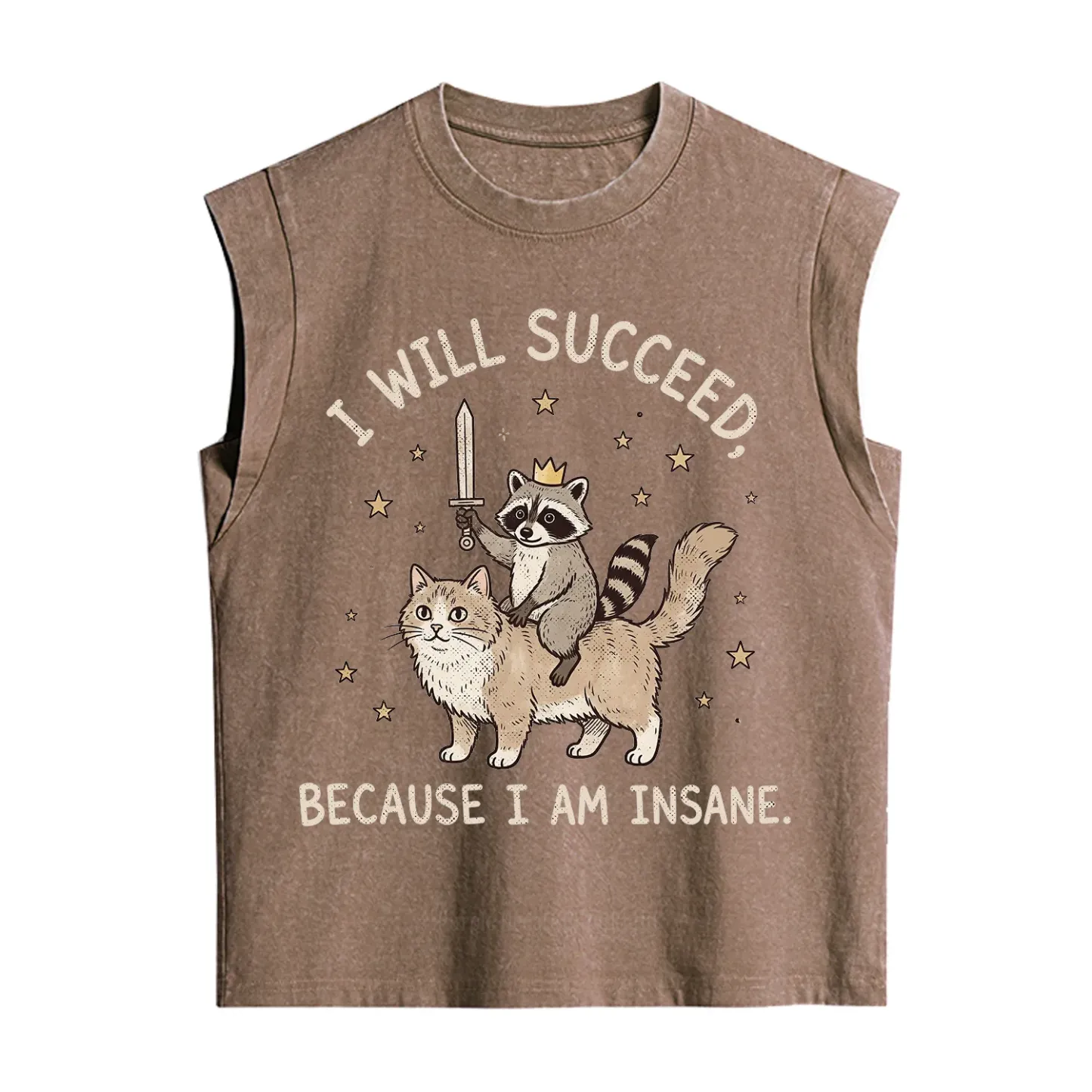 Purplehecate I Will Succeed Because I Am Insane Funny Raccoon Vintage Washed Tank
