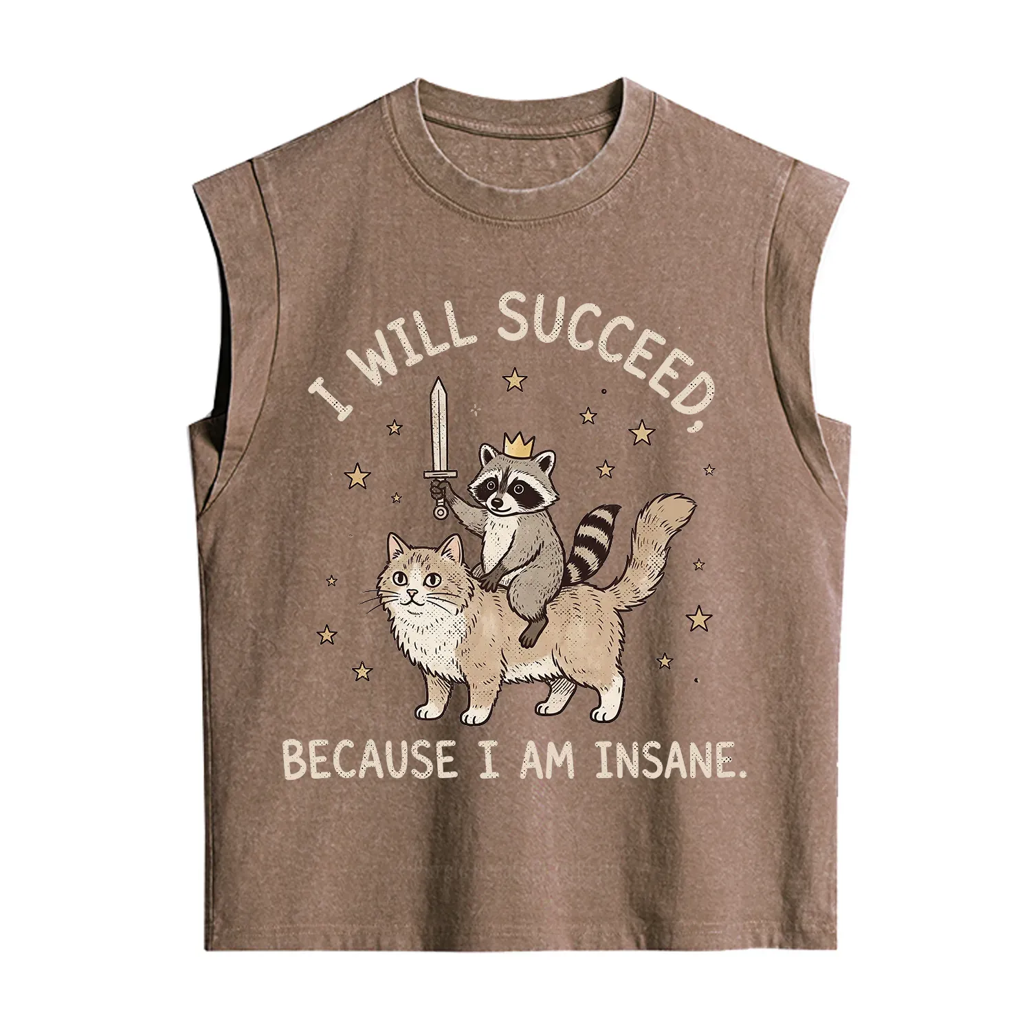 Purplehecate I Will Succeed Because I Am Insane Funny Raccoon Vintage Washed Tank