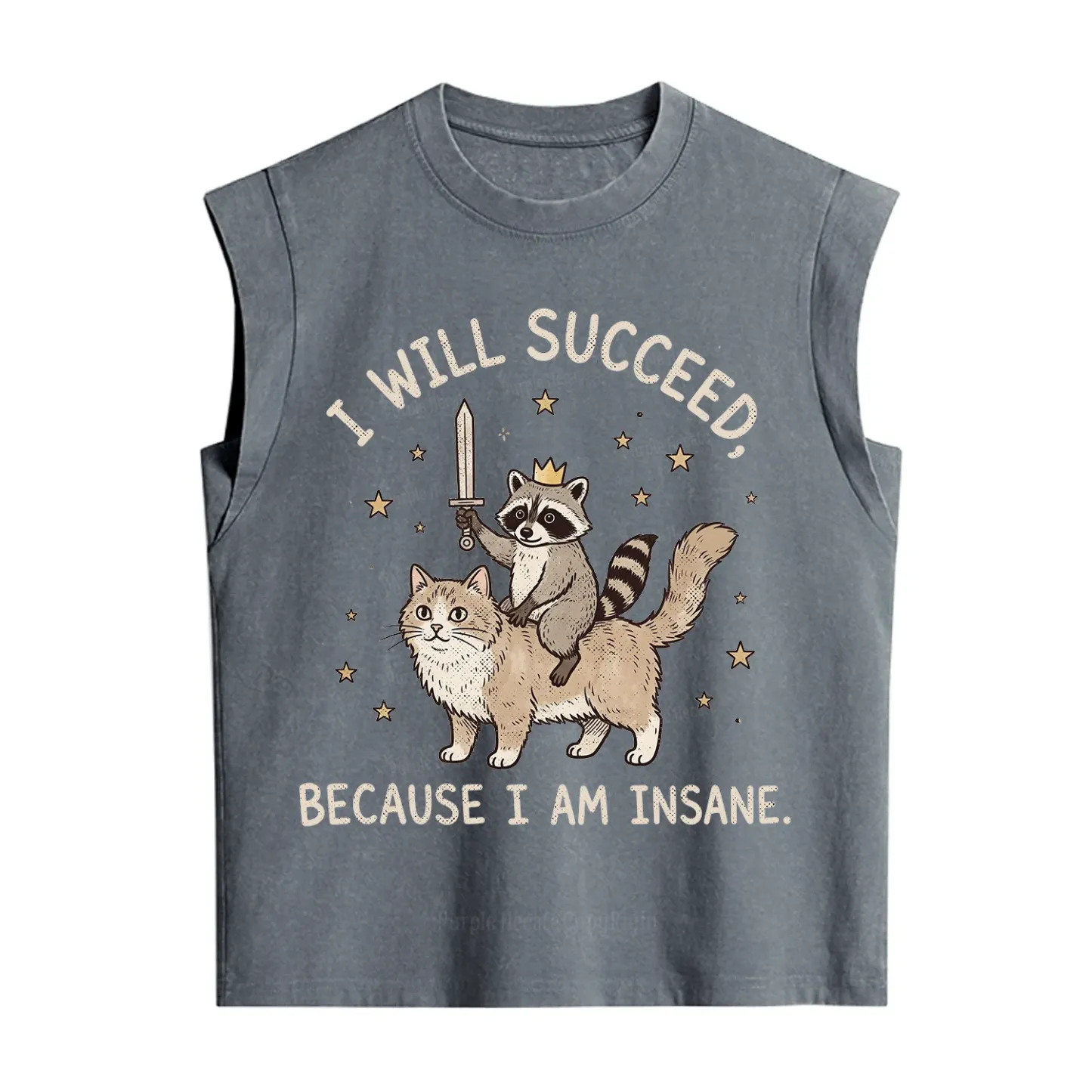 Purplehecate I Will Succeed Because I Am Insane Funny Raccoon Vintage Washed Tank