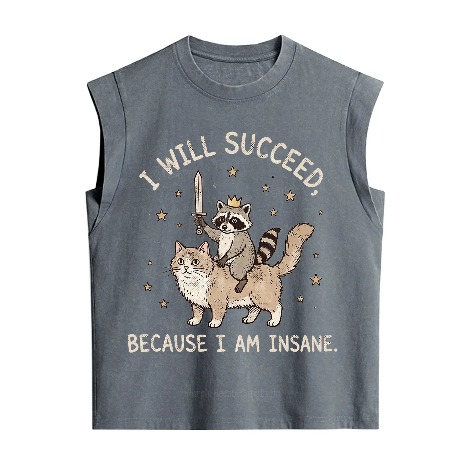 Purplehecate I Will Succeed Because I Am Insane Funny Raccoon Vintage Washed Tank
