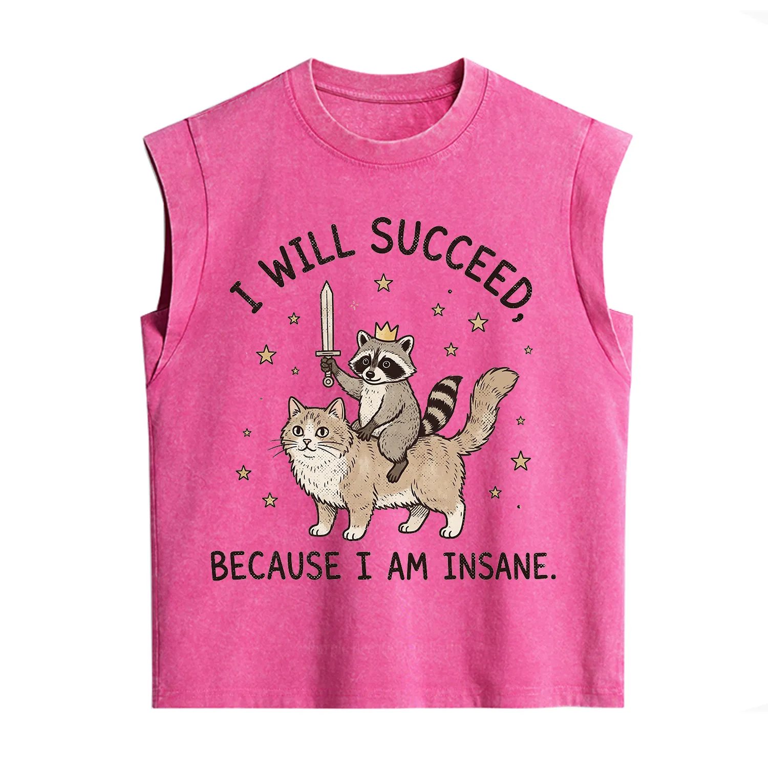 Purplehecate I Will Succeed Because I Am Insane Funny Raccoon Vintage Washed Tank