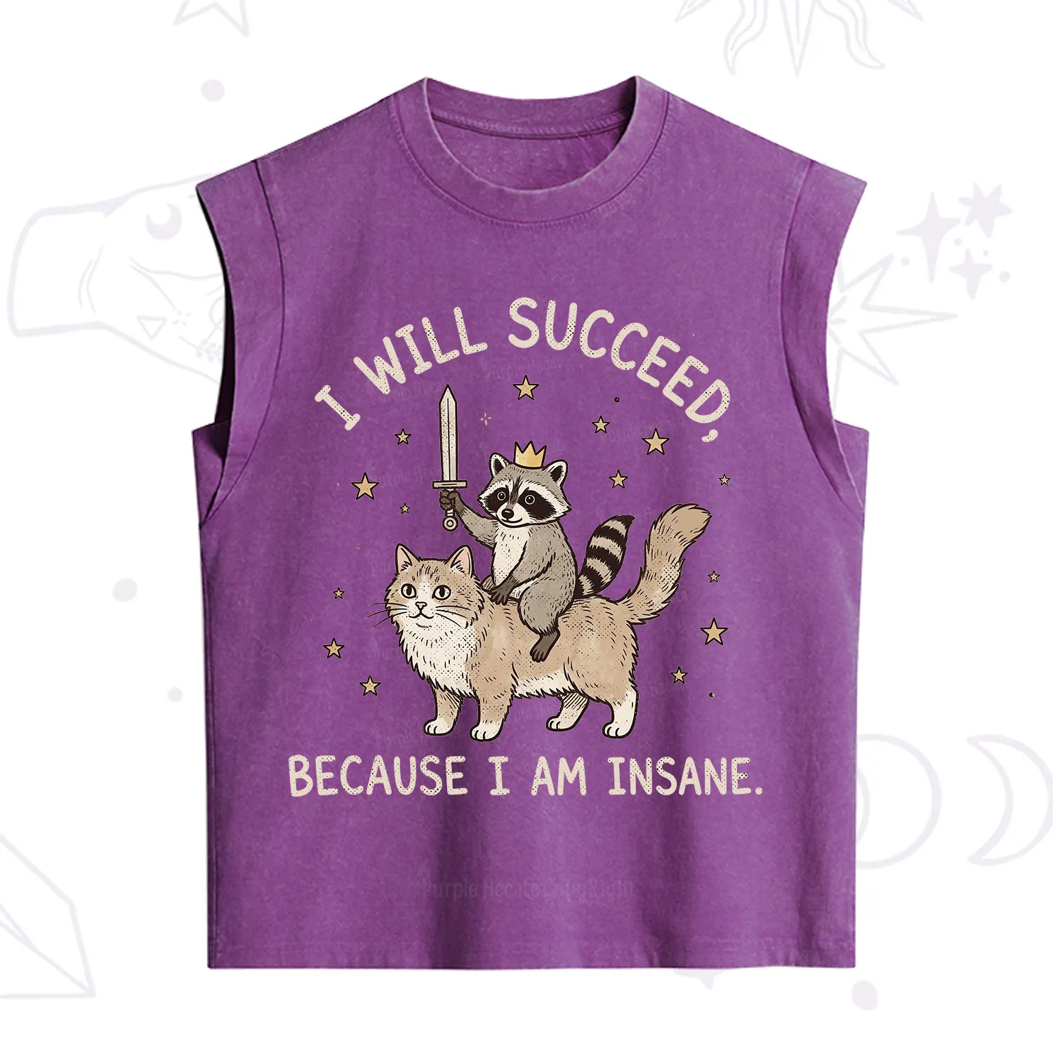 Purplehecate I Will Succeed Because I Am Insane Funny Raccoon Vintage Washed Tank