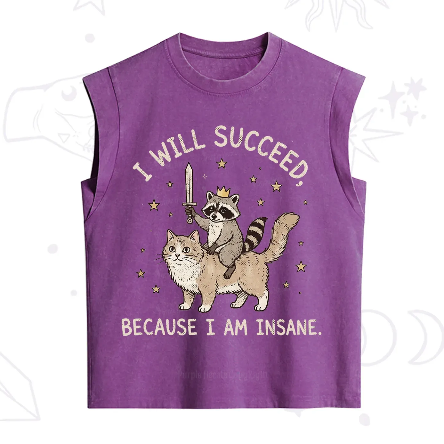 Purplehecate I Will Succeed Because I Am Insane Funny Raccoon Vintage Washed Tank