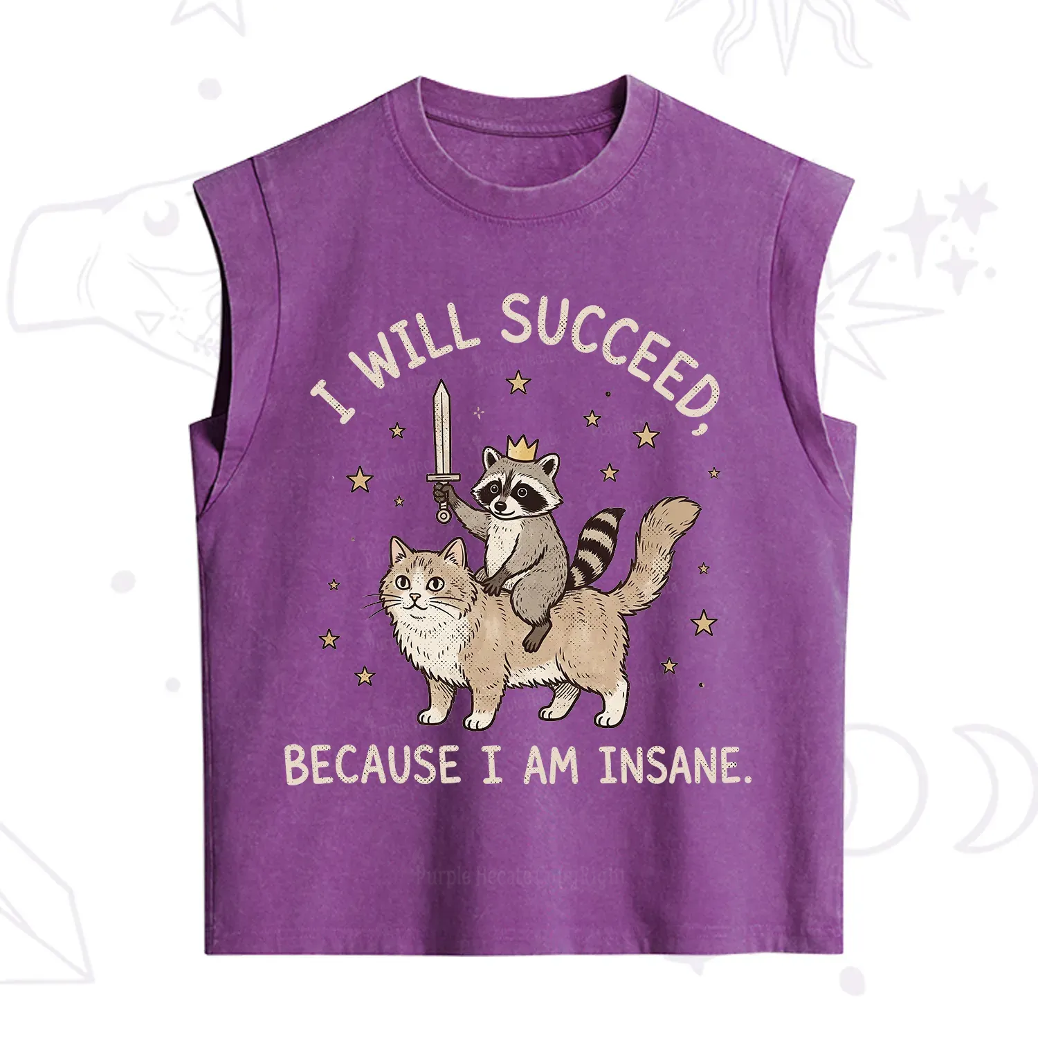 Purplehecate I Will Succeed Because I Am Insane Funny Raccoon Vintage Washed Tank