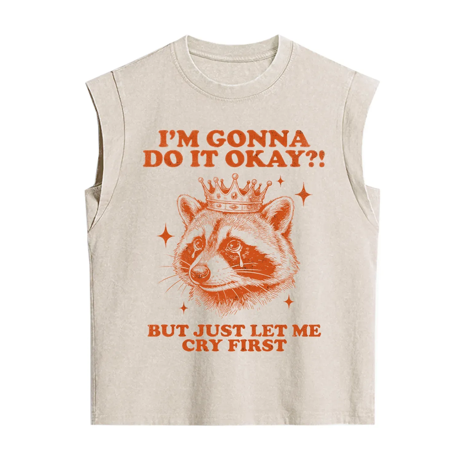 Purplehecate I'm Gonna Do It Okay Funny Raccoon Vintage Washed Tank