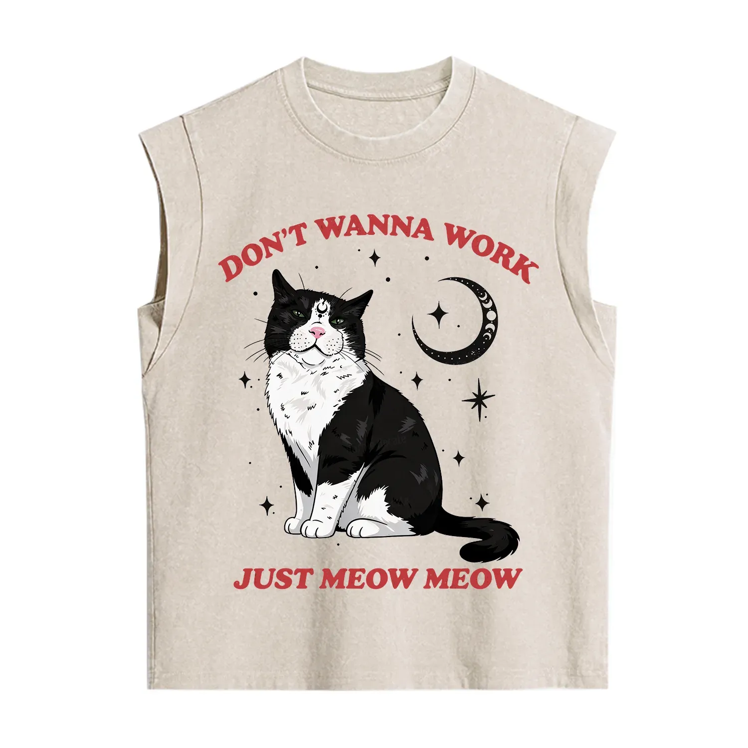 Purplehecate Don't Wanna Work Just Meow Meow Vintage Washed Tank