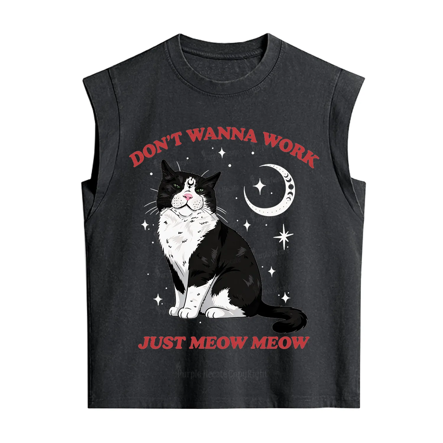 Purplehecate Don't Wanna Work Just Meow Meow Vintage Washed Tank