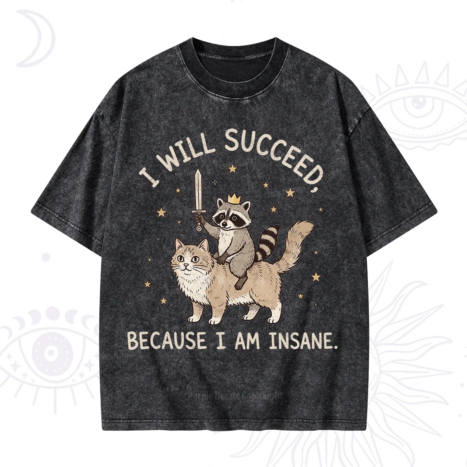 Purplehecate I Will Succeed Because I Am Insane Funny Raccoon Washed T-Shirt