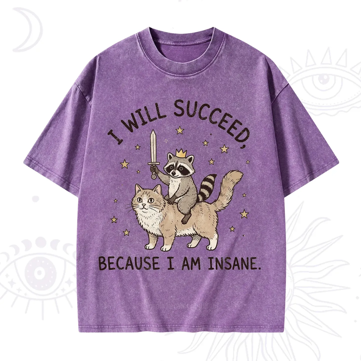 Purplehecate I Will Succeed Because I Am Insane Funny Raccoon Washed T-Shirt