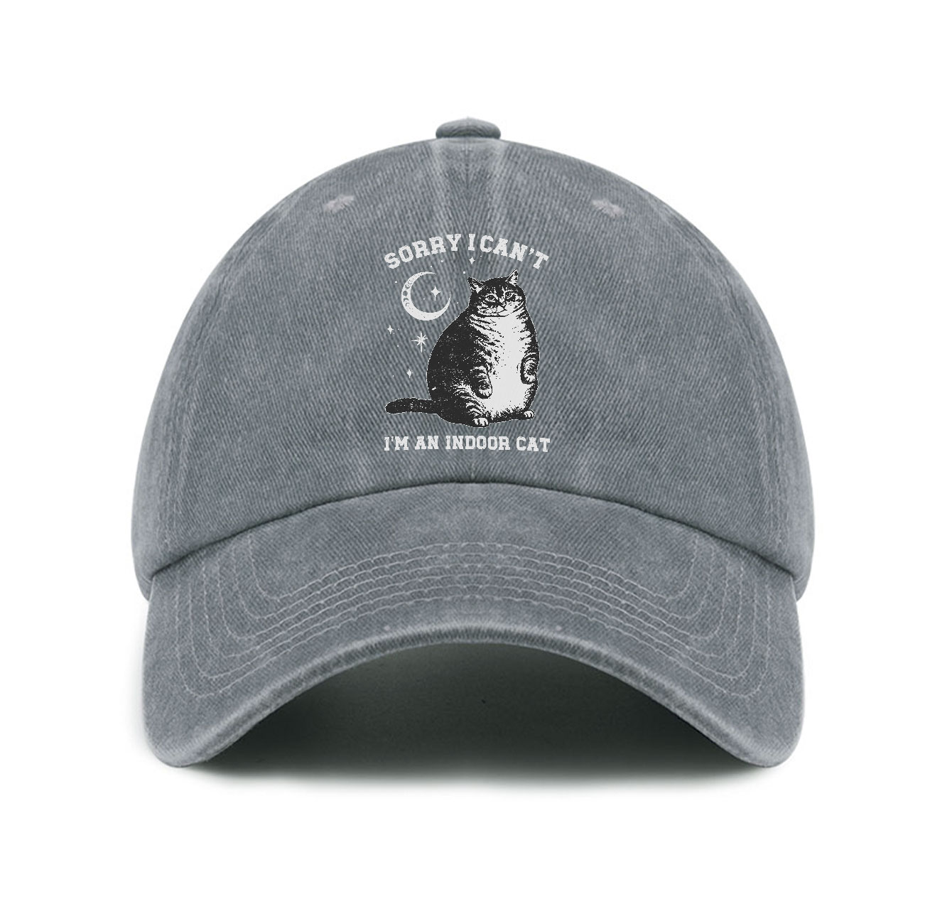 Purplehecate Sorry I Can't Go I'm an Indoor Cat Baseball Cap