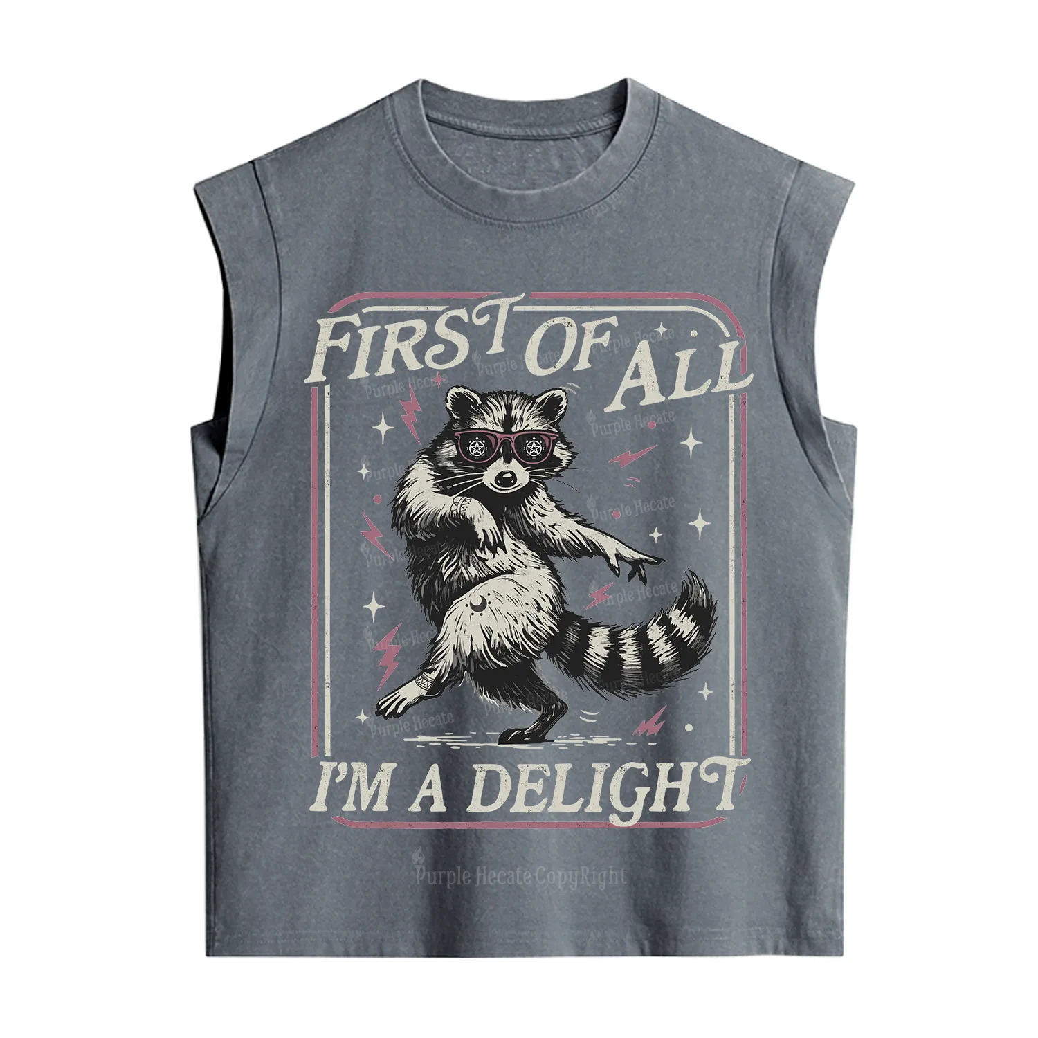 Purplehecate First Of All I'm A Delight Racoon Vintage Washed Tank