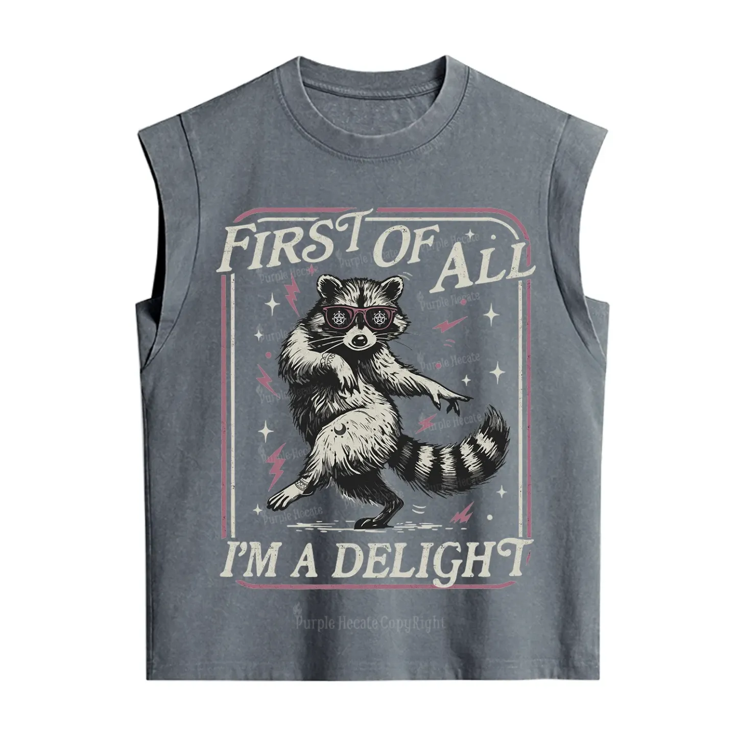 Purplehecate First Of All I'm A Delight Racoon Vintage Washed Tank