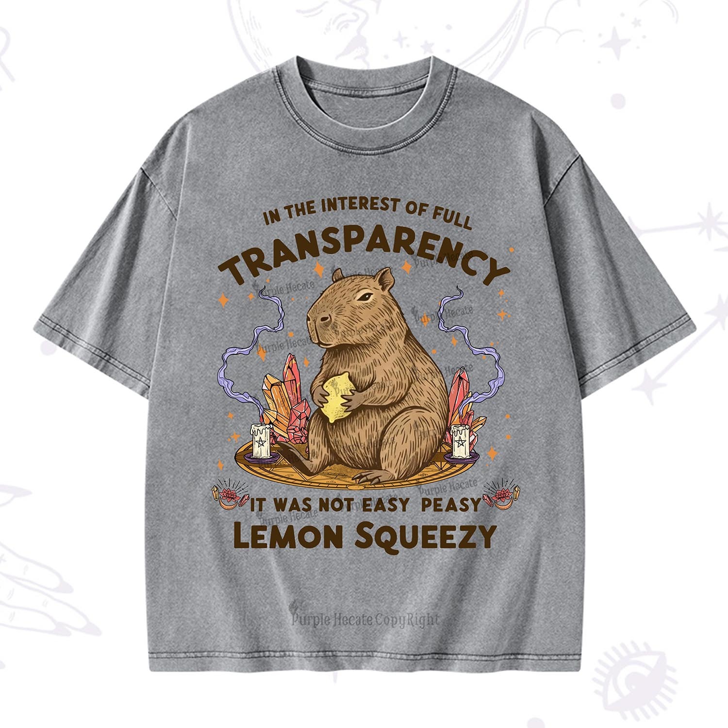 Purplehecate Funny Capybara Washed T-Shirt