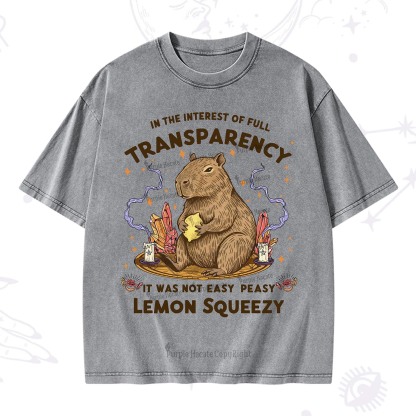Purplehecate Funny Capybara Washed T-Shirt