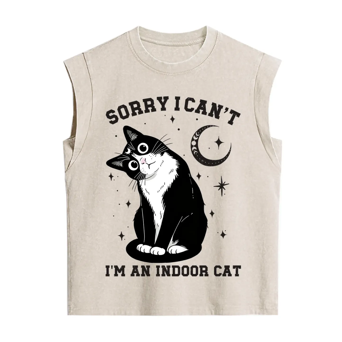 Purplehecate Sorry I Can't Go I'm an Indoor Cat Vintage Washed Tank