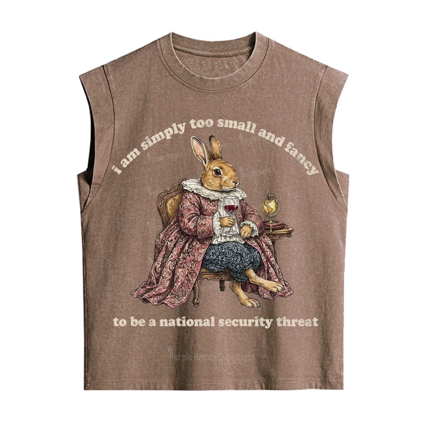 Purplehecate Too Small and Fancy Vintage Washed Tank