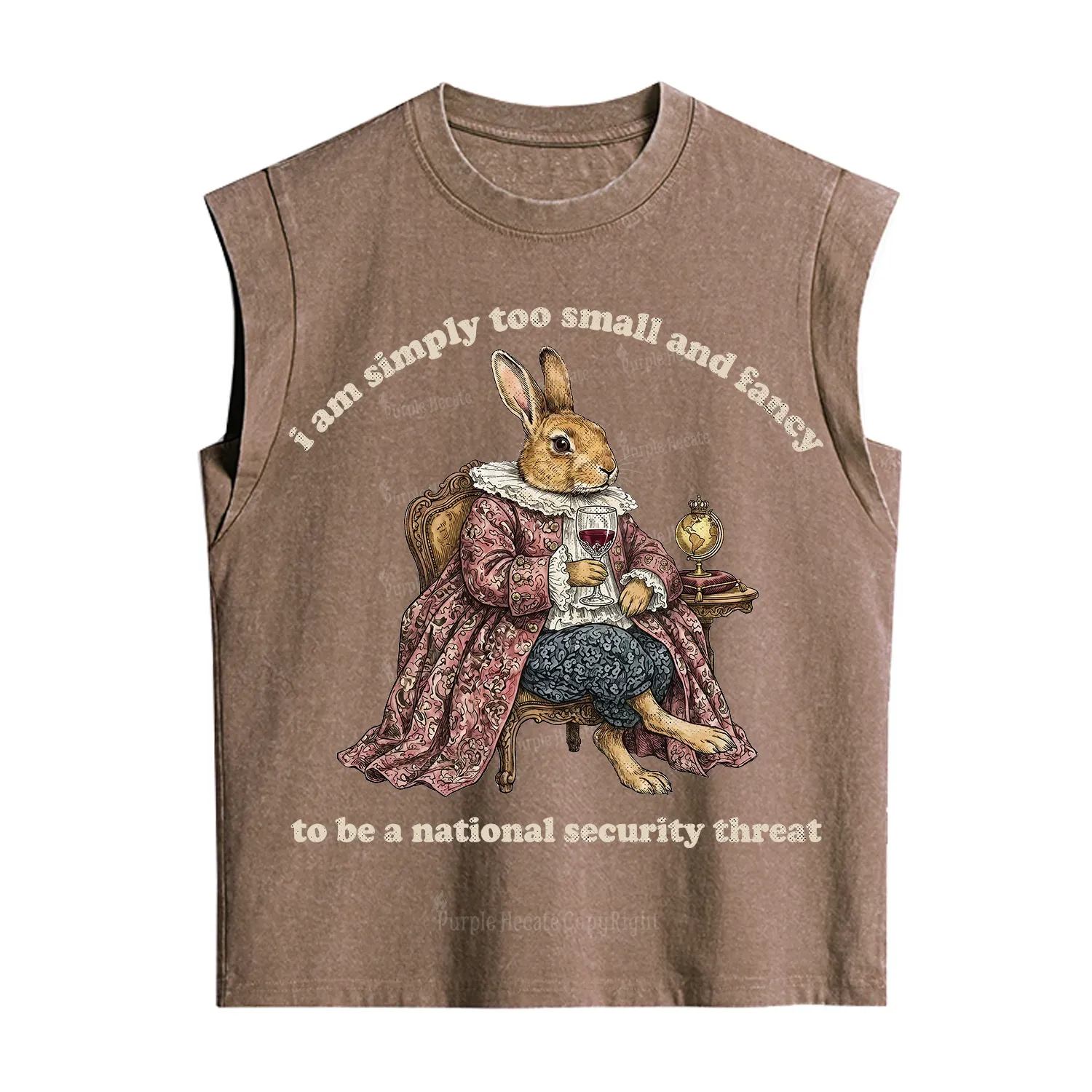 Purplehecate Too Small and Fancy Vintage Washed Tank