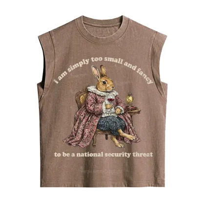 Purplehecate Too Small and Fancy Vintage Washed Tank
