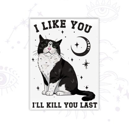 Purplehecate Sorry I Can't Go I'm an Indoor Cat Magnet