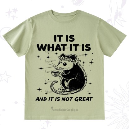 Purplehecate Possum It Is What It Is T-Shirt