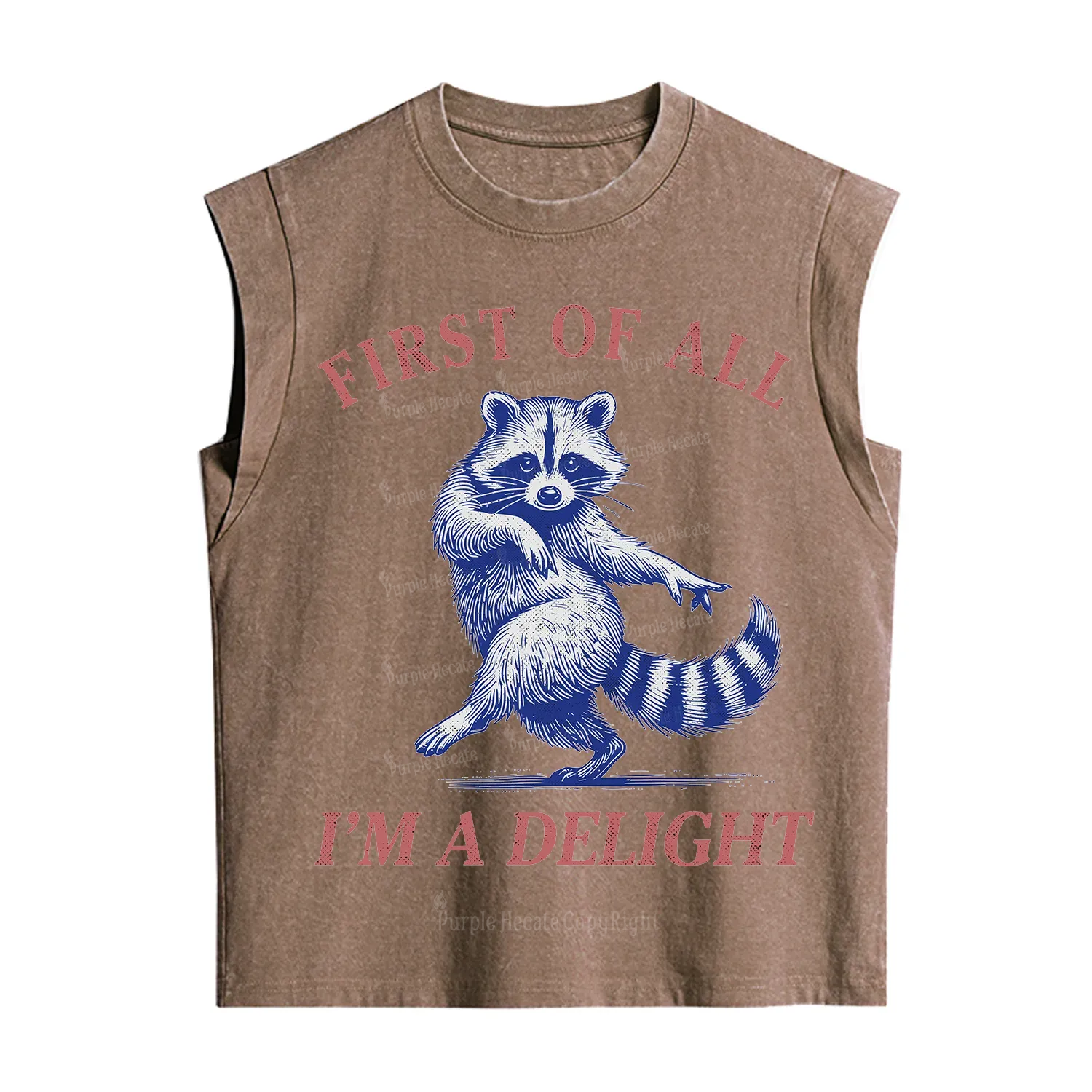 Purplehecate First of All I'm a Delight Funny Raccoon Vintage Washed Tank