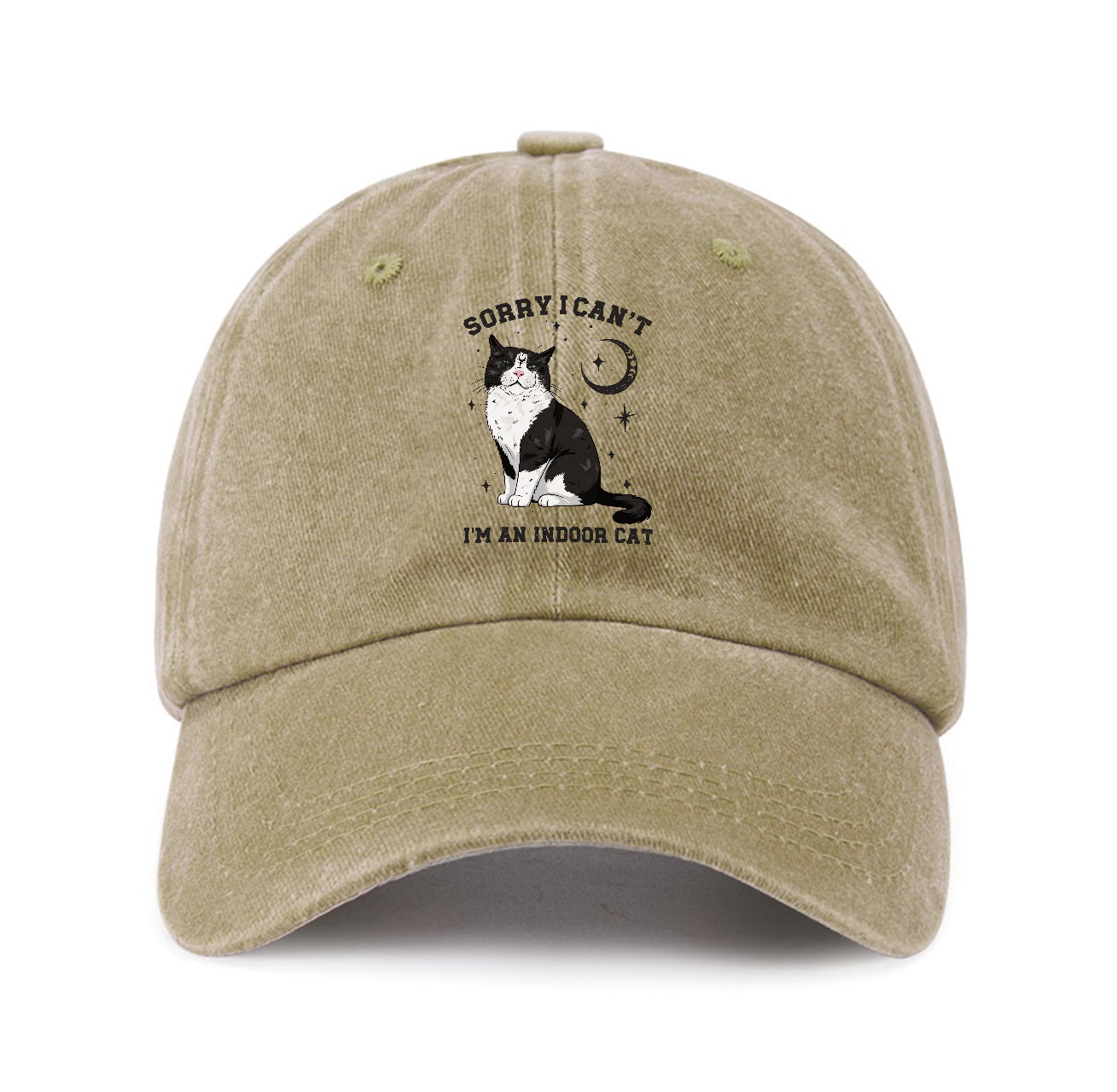 Purplehecate Sorry I Can't Go I'm an Indoor Cat Baseball Cap