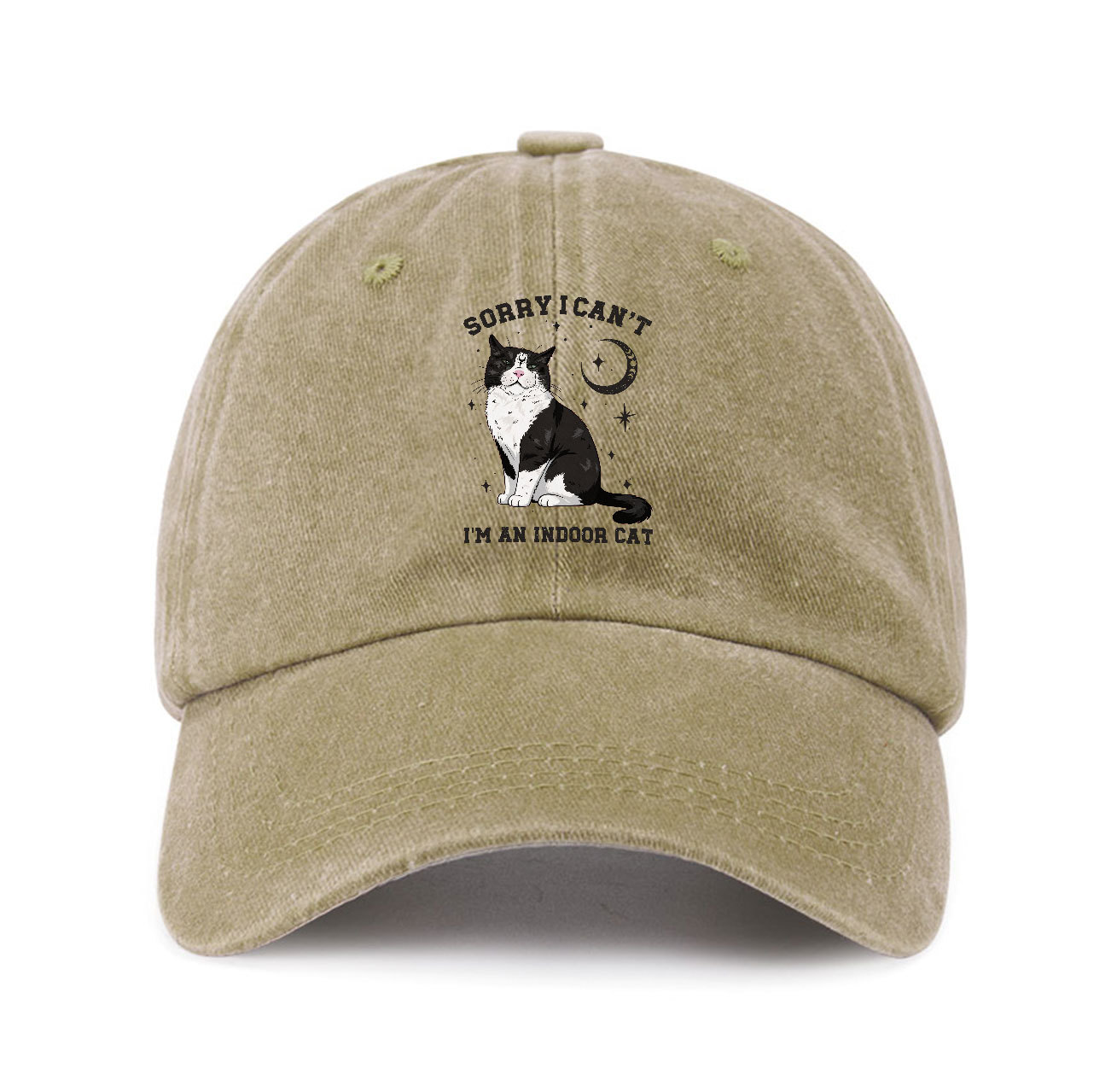 Purplehecate Sorry I Can't Go I'm an Indoor Cat Baseball Cap