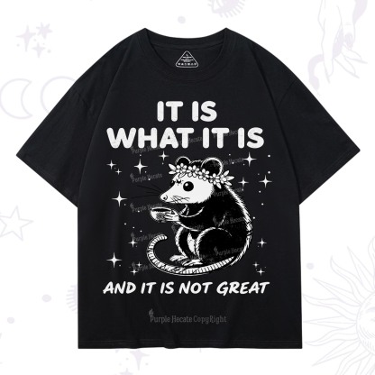 Purplehecate Possum It Is What It Is T-Shirt