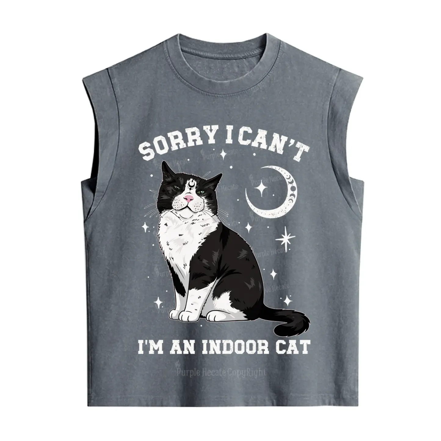 Purplehecate Sorry I Can't Go I'm an Indoor Cat Vintage Washed Tank