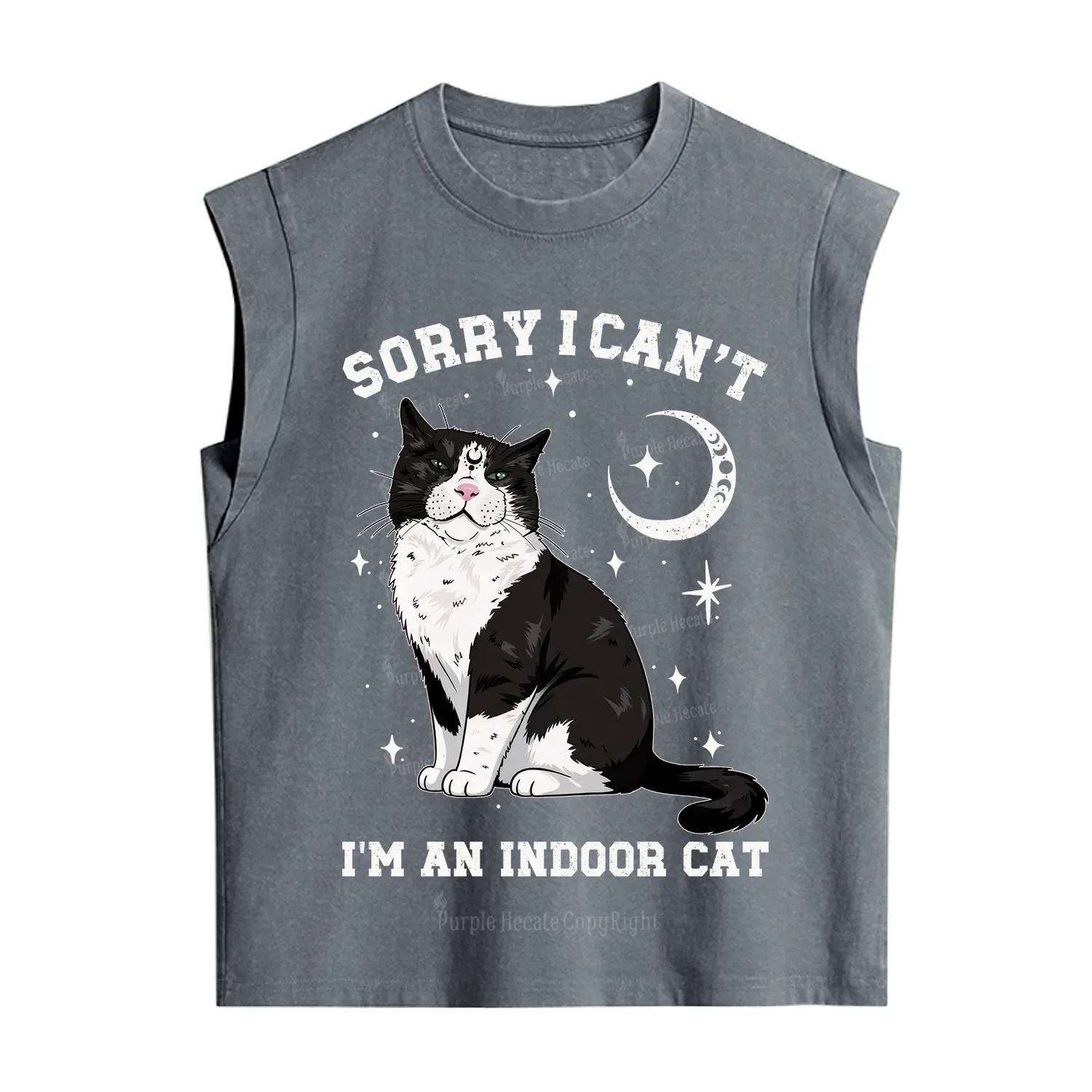 Purplehecate Sorry I Can't Go I'm an Indoor Cat Vintage Washed Tank