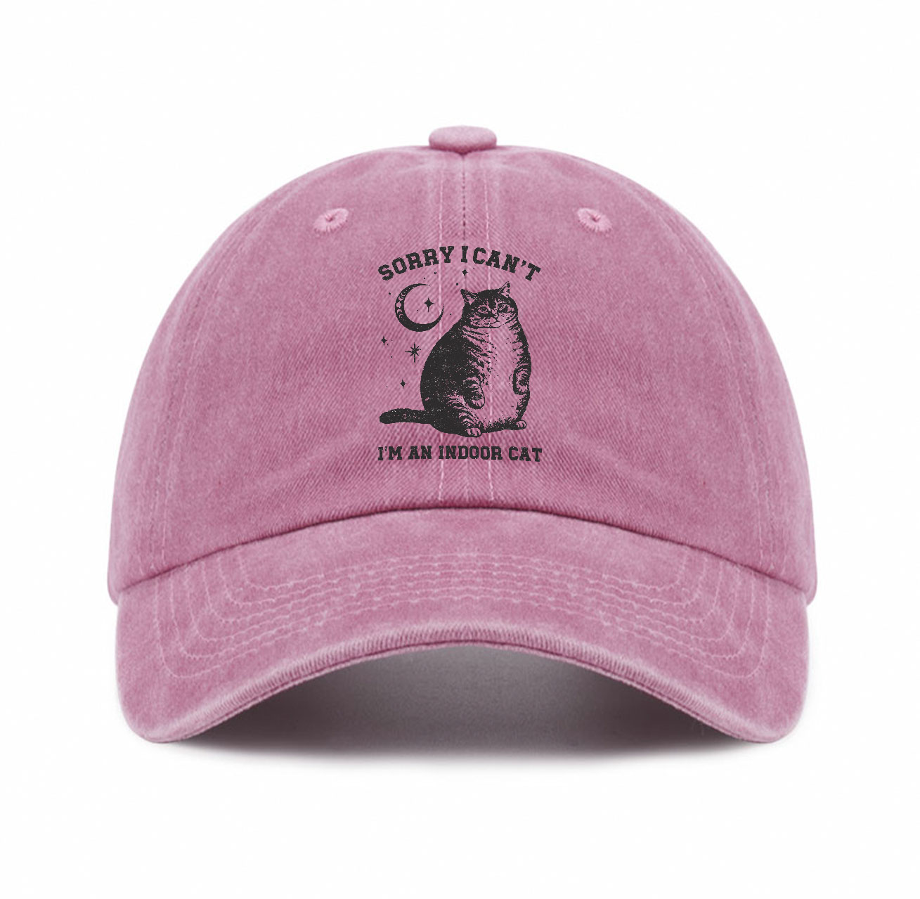 Purplehecate Sorry I Can't Go I'm an Indoor Cat Baseball Cap