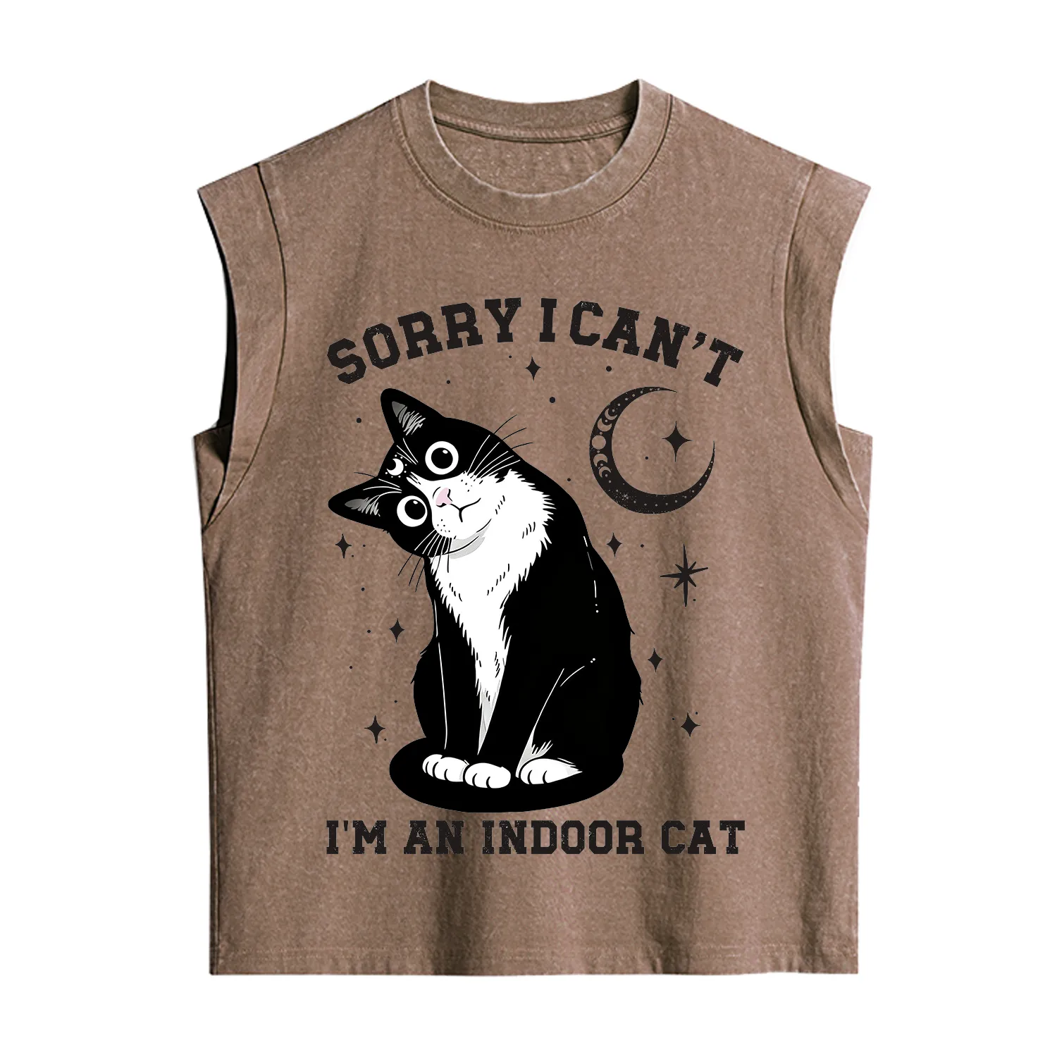 Purplehecate Sorry I Can't Go I'm an Indoor Cat Vintage Washed Tank