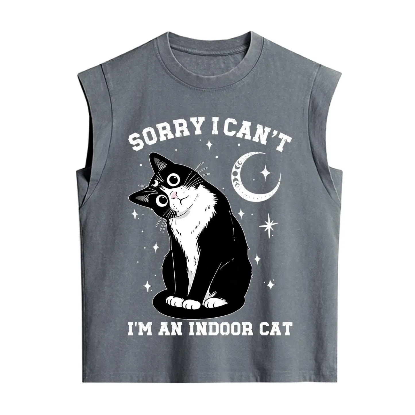 Purplehecate Sorry I Can't Go I'm an Indoor Cat Vintage Washed Tank