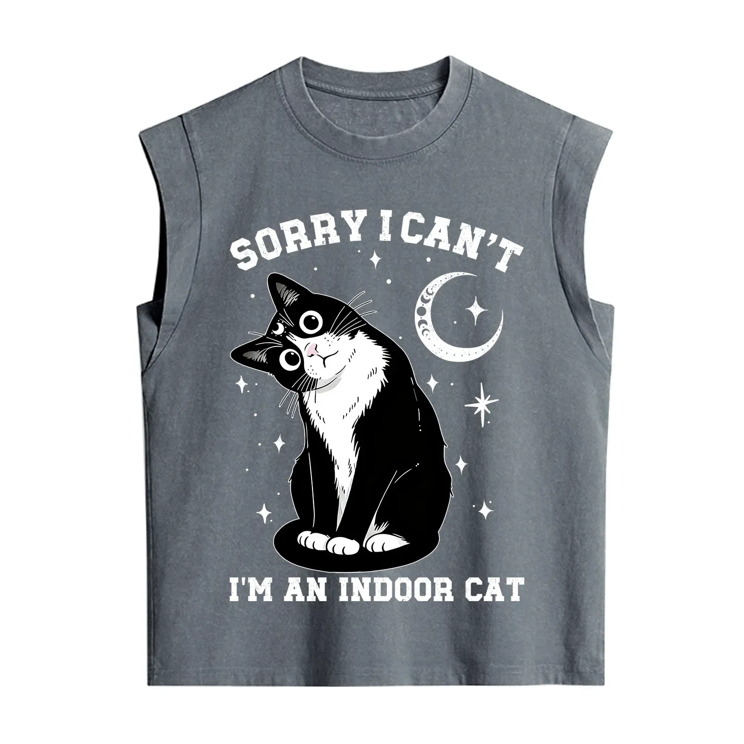 Purplehecate Sorry I Can't Go I'm an Indoor Cat Vintage Washed Tank