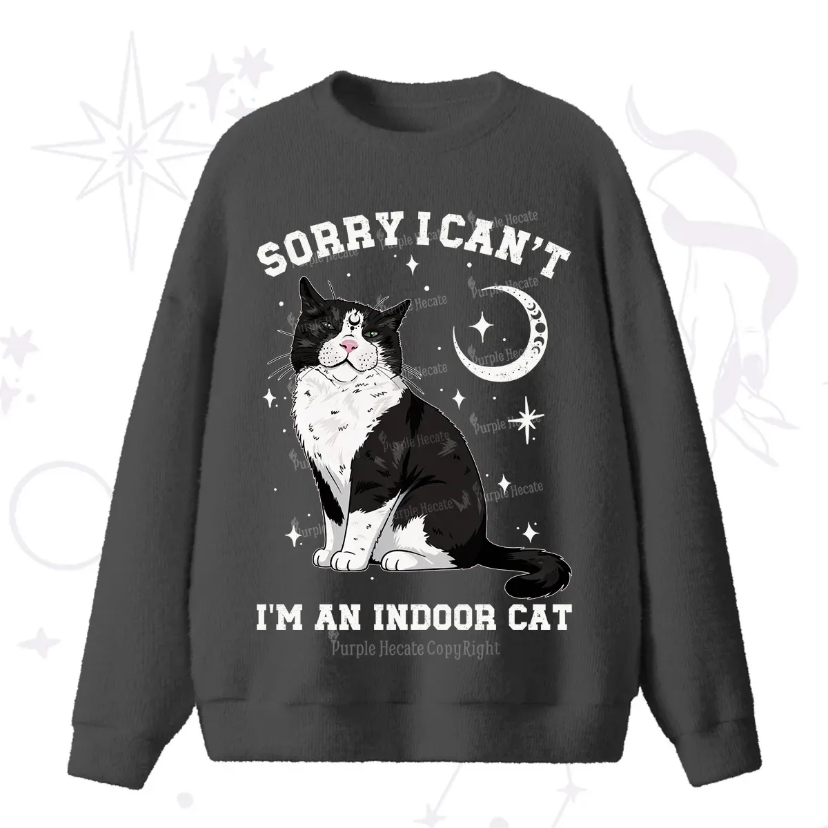 Purplehecate Sorry I Can't Go I'm an Indoor Cat Fuzzy Ugly Sweater
