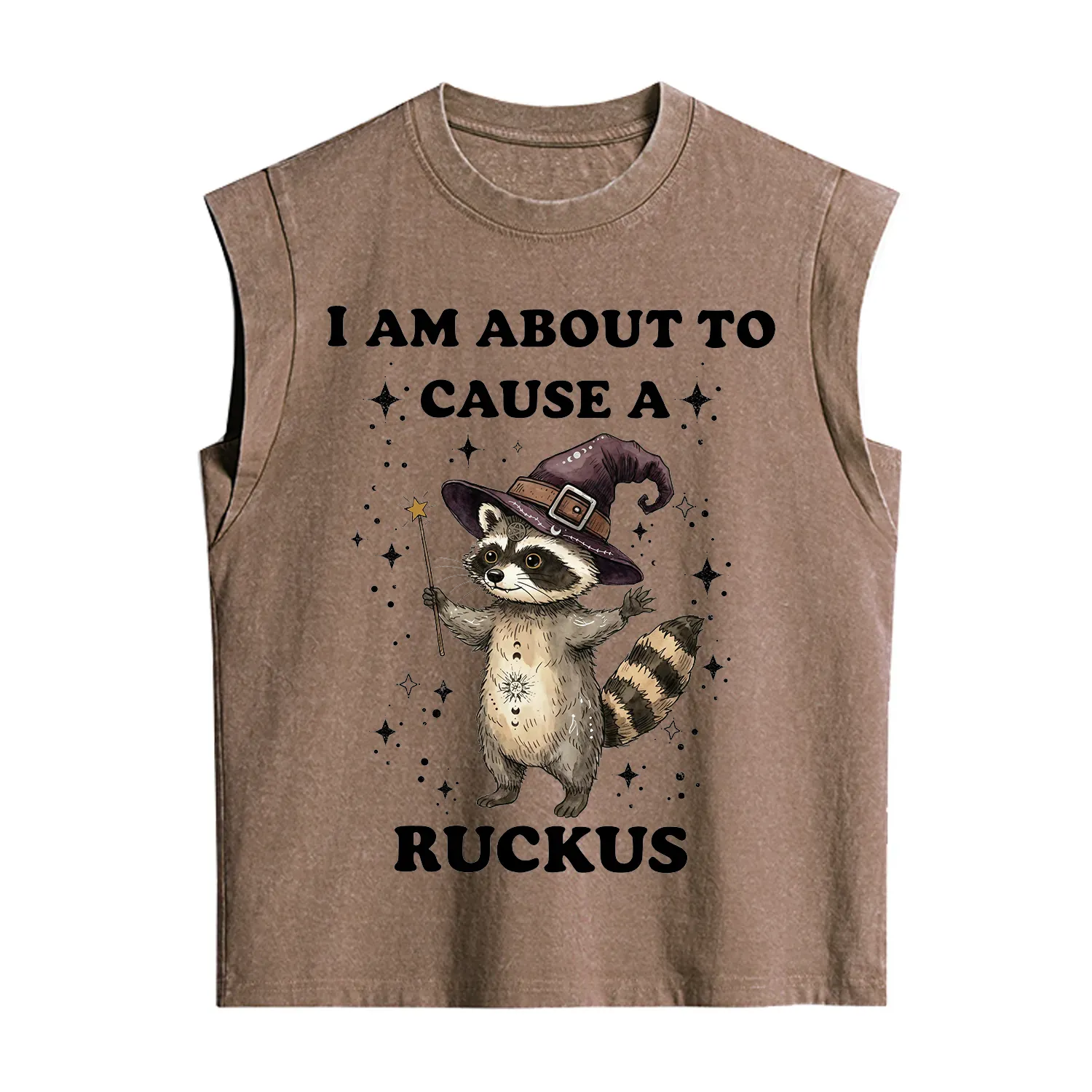 Purplehecate I Am About To Cause A Ruckus Vintage Washed Tank