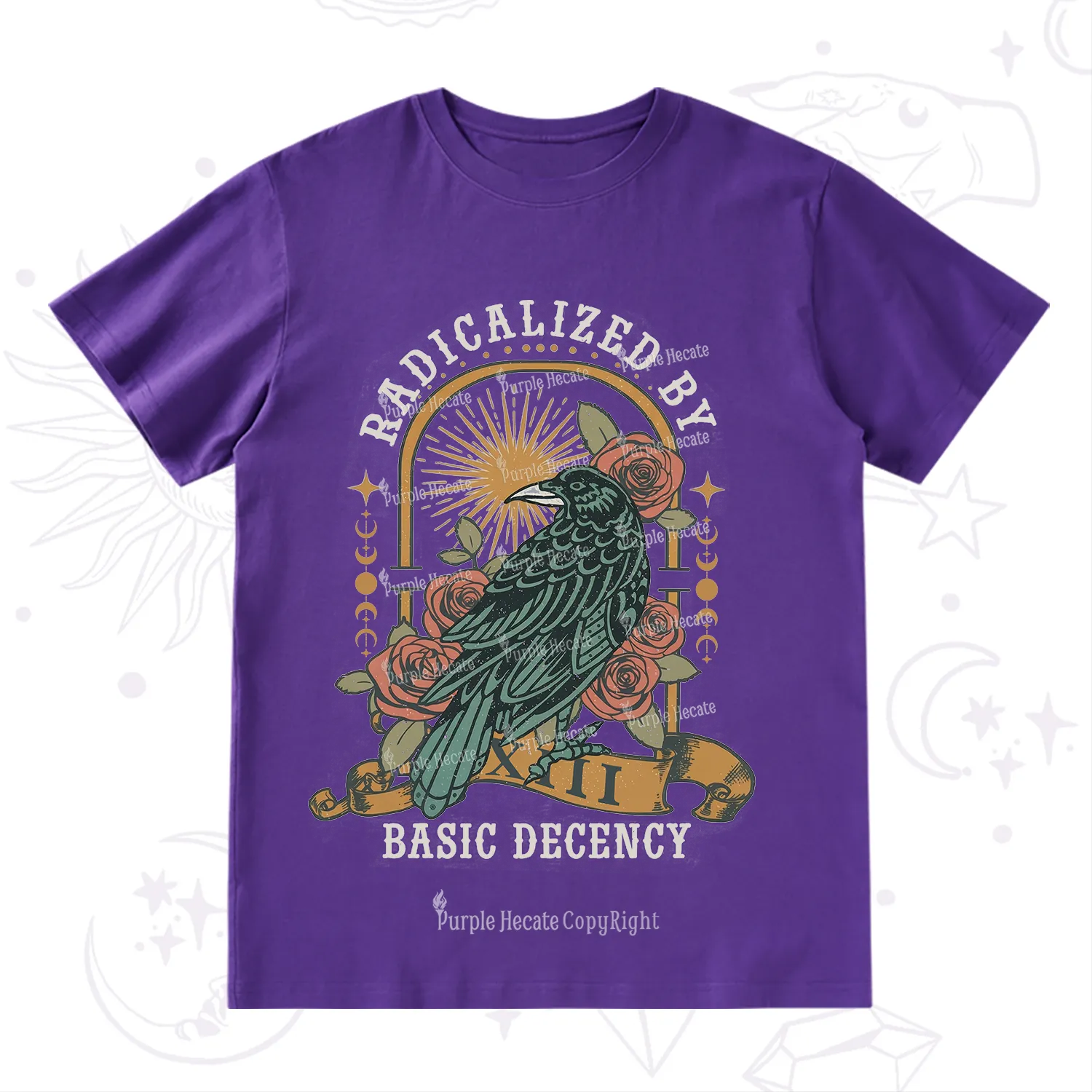 Purplehecate Radicalized By Basic Decency T-Shirt