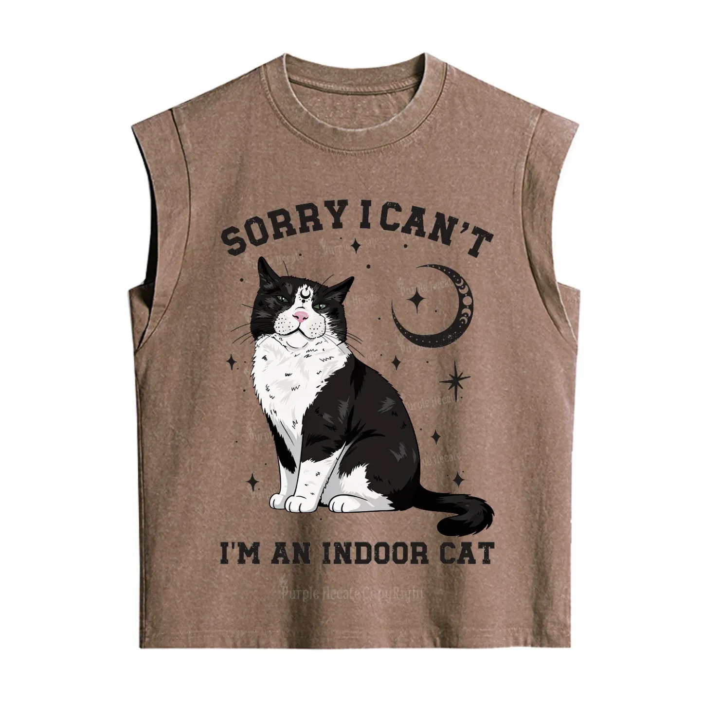 Purplehecate Sorry I Can't Go I'm an Indoor Cat Vintage Washed Tank