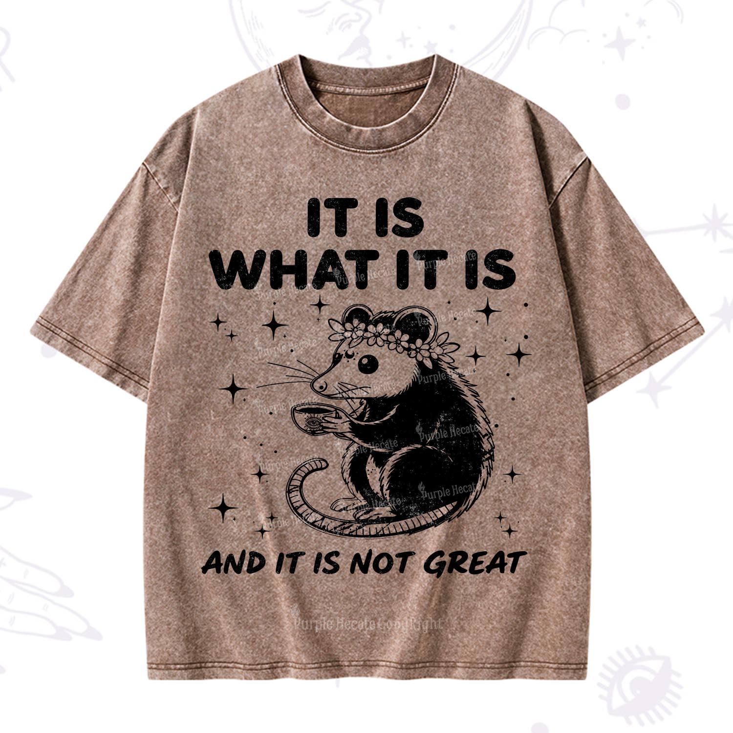 [Copy]Purplehecate Funny Capybara Washed T-Shirt