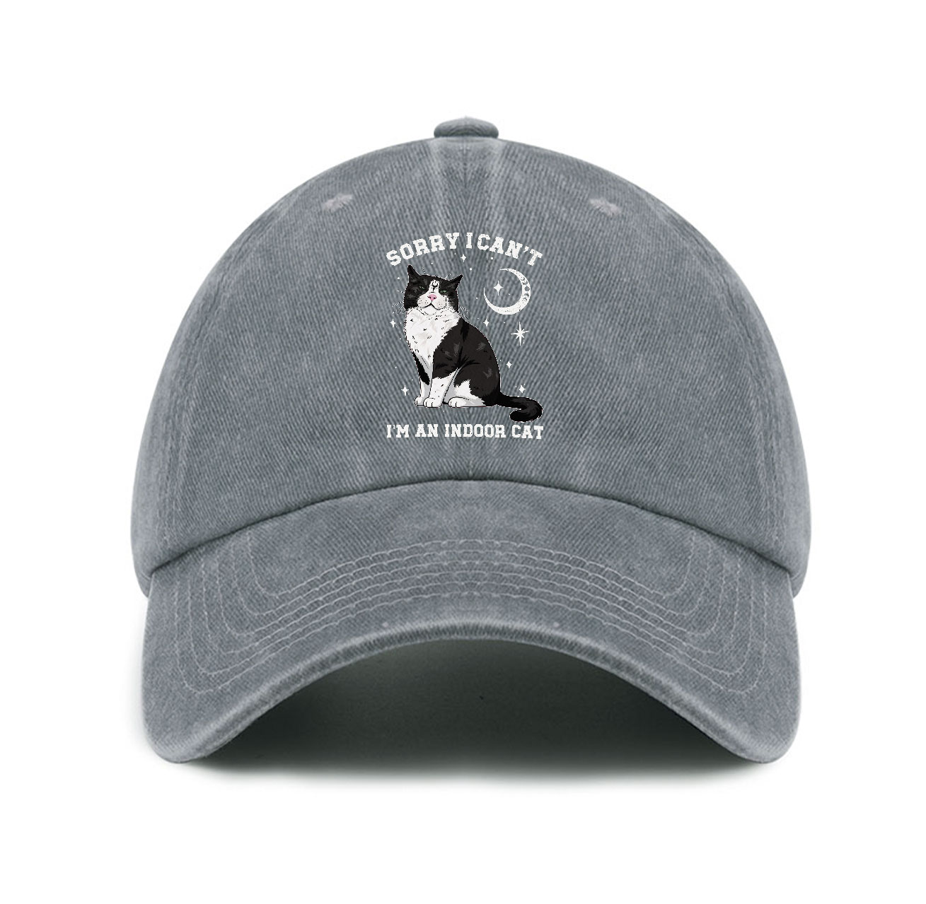 Purplehecate Sorry I Can't Go I'm an Indoor Cat Baseball Cap