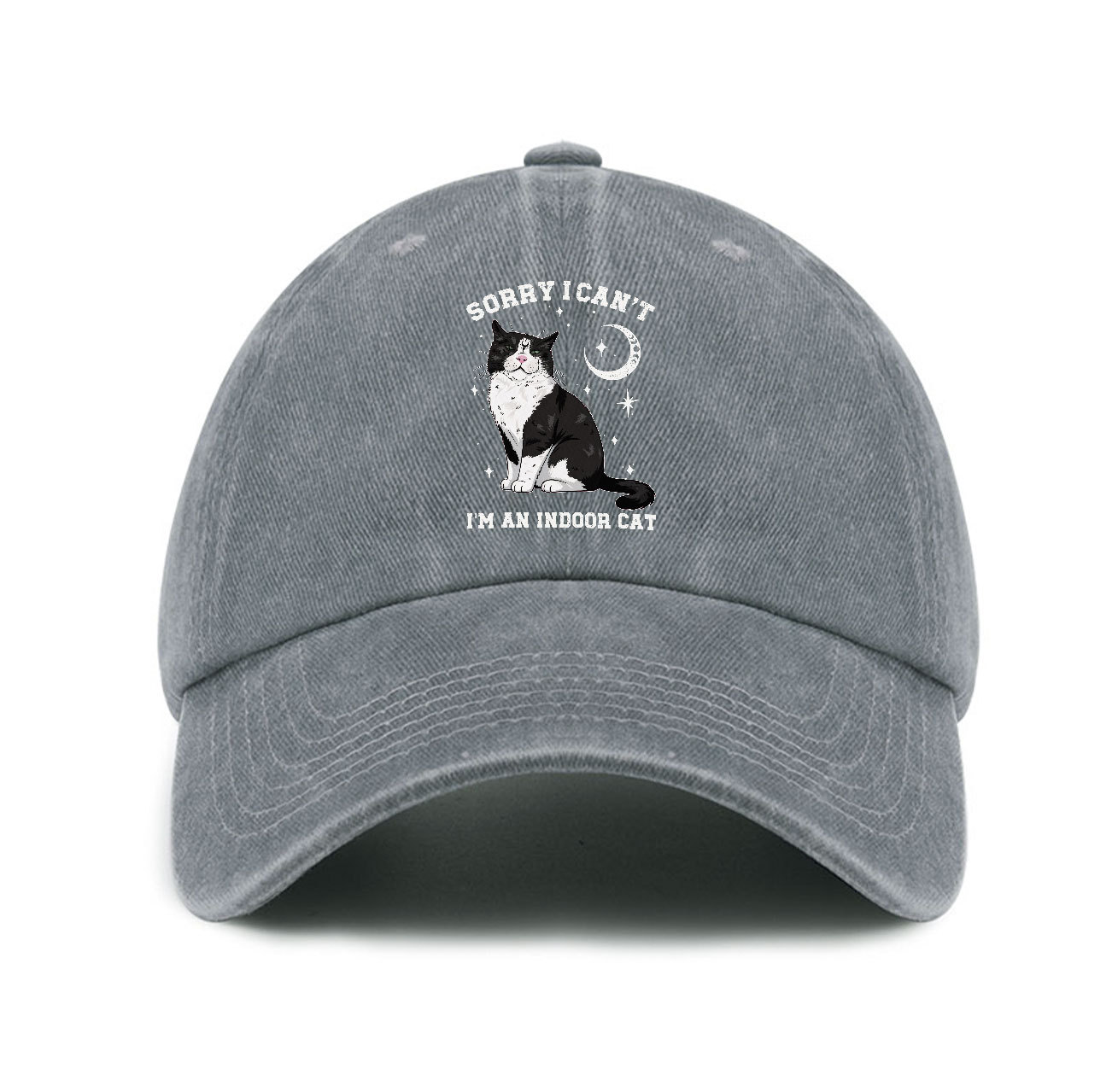 Purplehecate Sorry I Can't Go I'm an Indoor Cat Baseball Cap