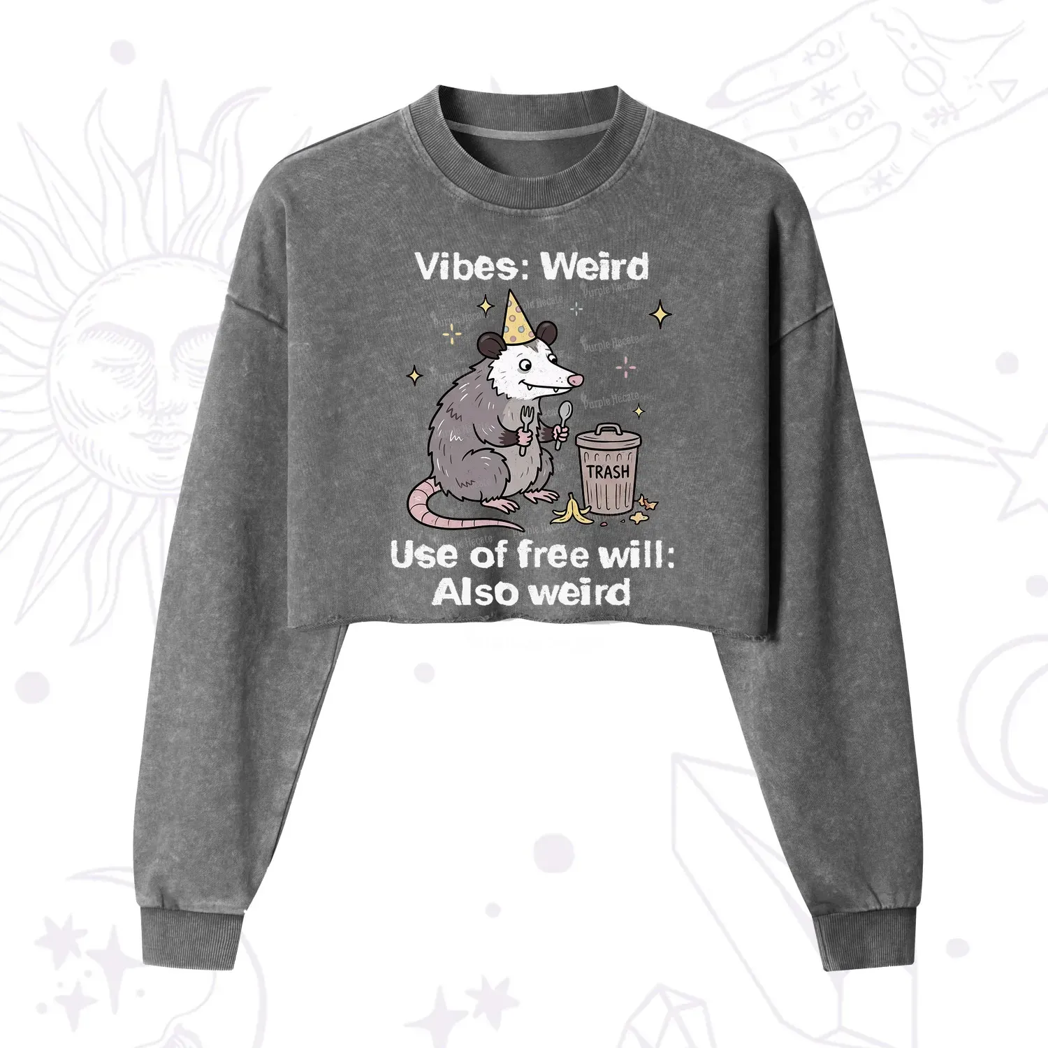 Purplehecate Weird Vibes Only Opossum Cropped Washed Sweatshirt