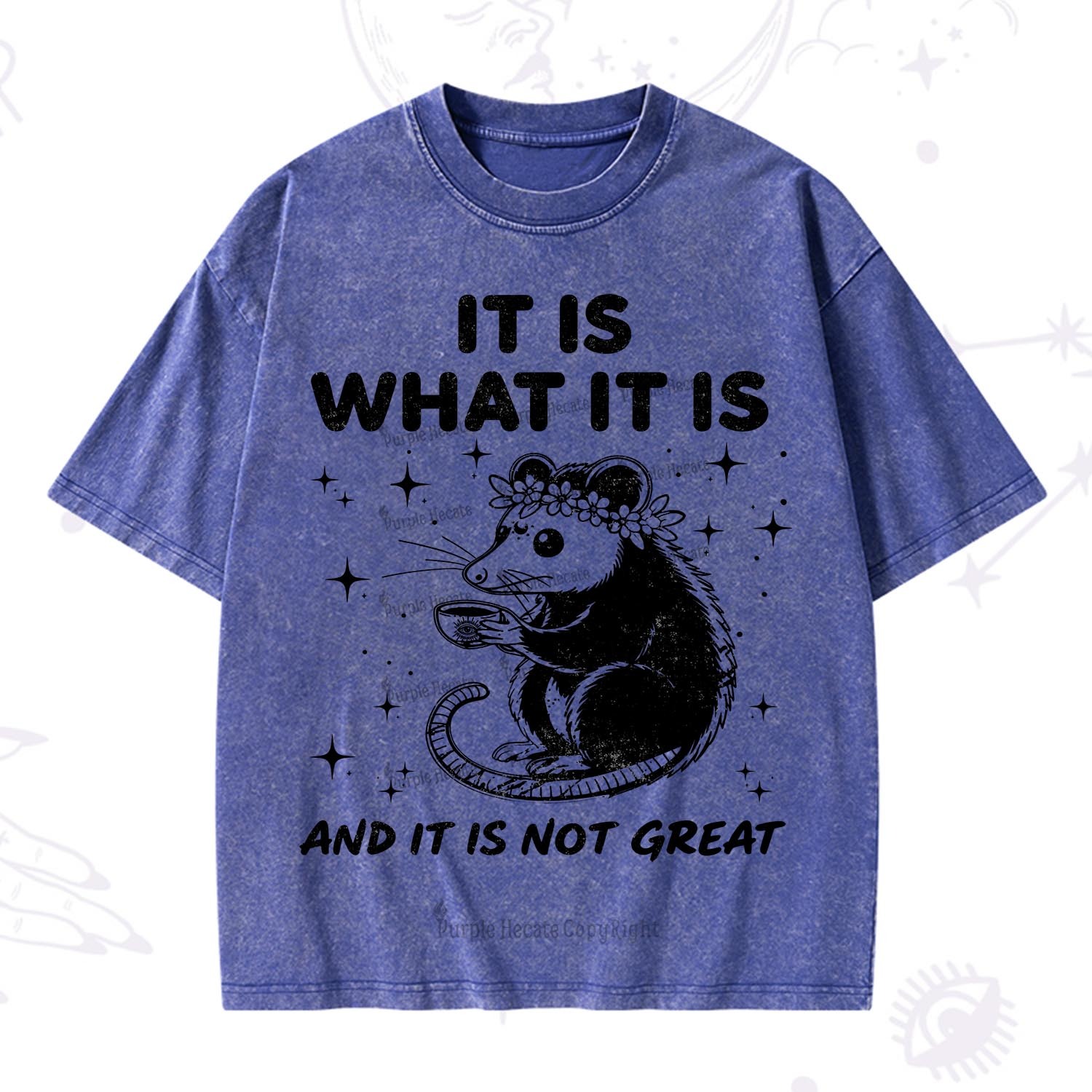 [Copy]Purplehecate Funny Capybara Washed T-Shirt