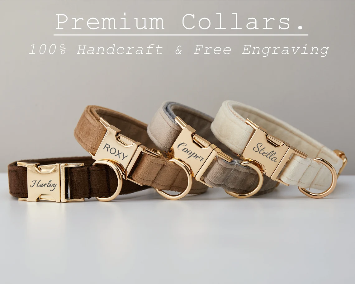 Multiple Colour Velvet Personalise Dog Collar Leash Set with Bow,Brown+Grey+White,Engraved Pet Name Plate Metal Buckle,Wedding Puppy Gift