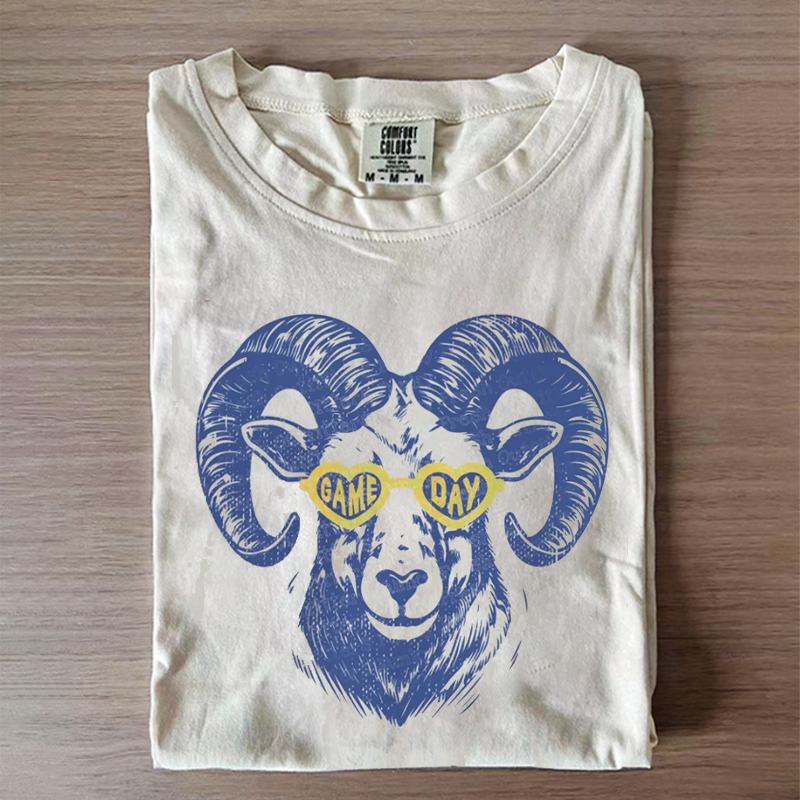 Comfort Colors Los Angeles Football Sweatshirt/T-Shirt