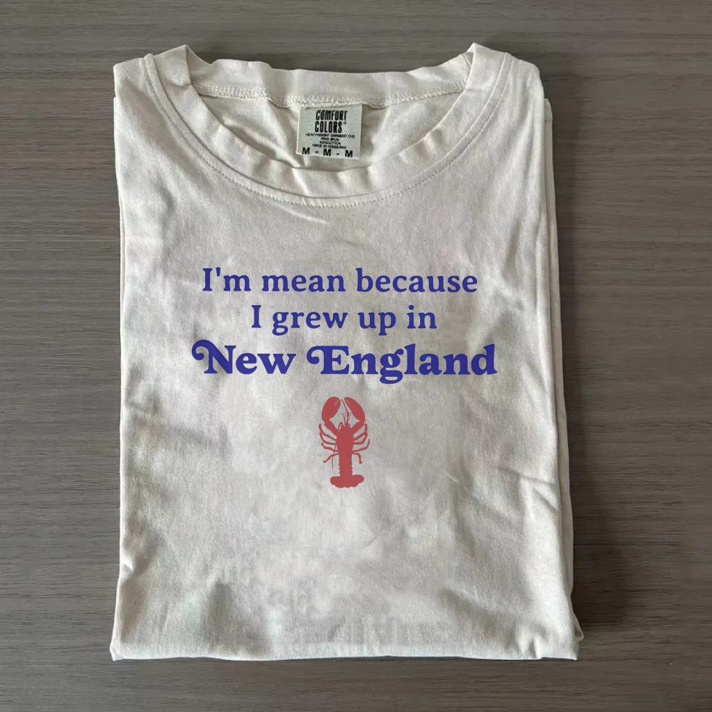 I'm Mean Because I Grew Up in New England T-Shirt
